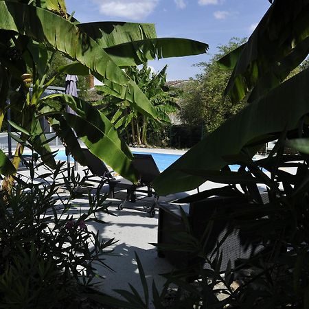Gites Jardin-Darcy - Piscine Au Sel Bois Luaran gambar