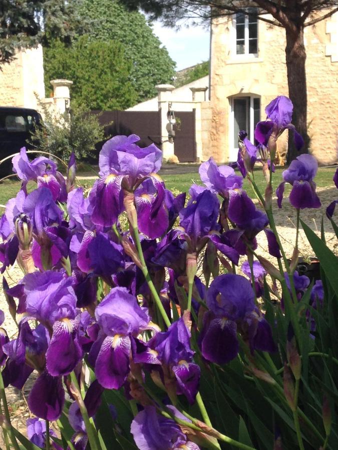 Gites Jardin-Darcy - Piscine Au Sel Bois Luaran gambar