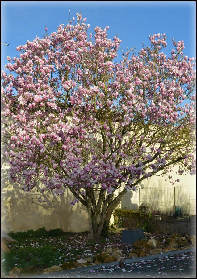 Gites Jardin-Darcy - Piscine Au Sel Bois Luaran gambar
