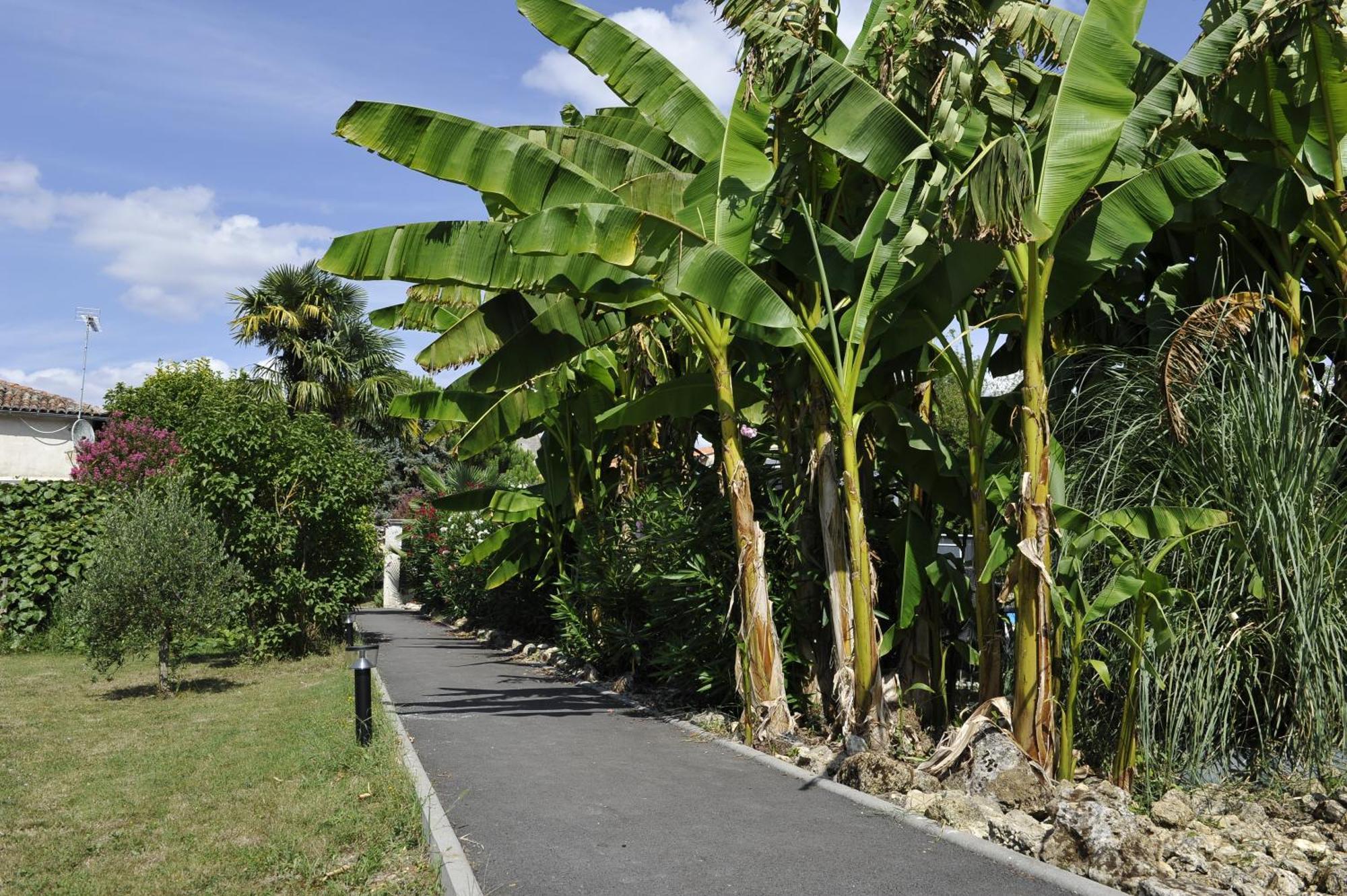 Gites Jardin-Darcy - Piscine Au Sel Bois Luaran gambar